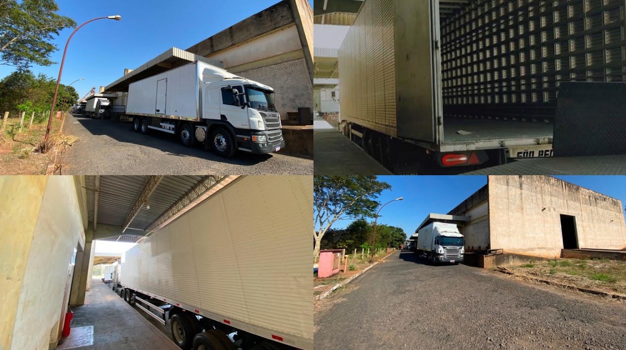 Carga, descarga e transporte na Blue Moby